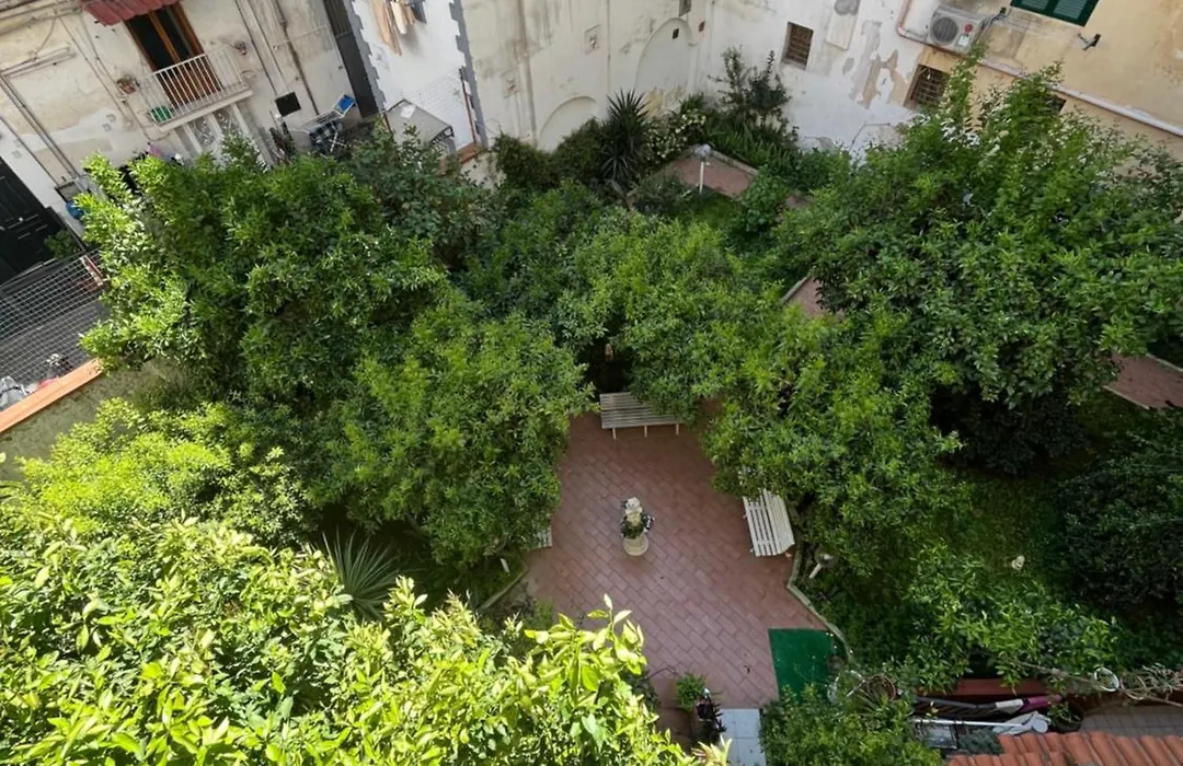 L'Angolo Verde-1
